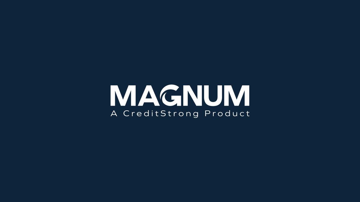 MAGNUM Pro Tips